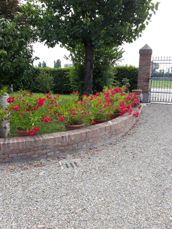 Al Sit Ed Marino Bed & Breakfast Castel Maggiore Exterior photo